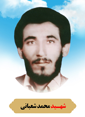 تصویر شهید محمد شعبانی